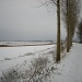 Winter 3 by pyrrhula