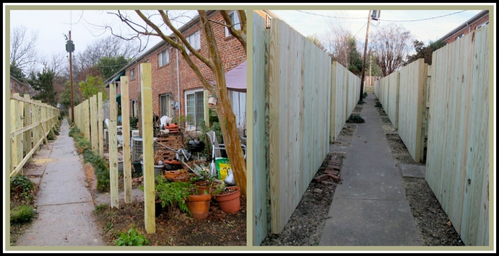 Good Fences Make Good Neighbors by allie912