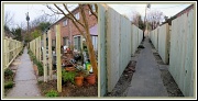 10th Feb 2012 - Good Fences Make Good Neighbors