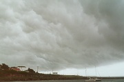 10th Feb 2012 - Storm II