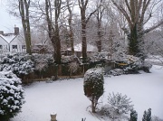 10th Feb 2012 - View from my window