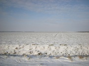 11th Feb 2012 - Winter 4