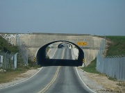 26th Mar 2009 - Neverending Road