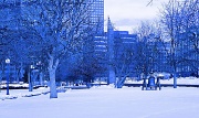 10th Feb 2012 - city park