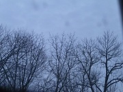 10th Feb 2012 - Dusk outside my window