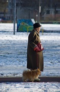 11th Feb 2012 - walking the dog