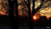 11th Feb 2012 - Winter Morning Sun