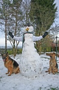 6th Feb 2012 - Snowman