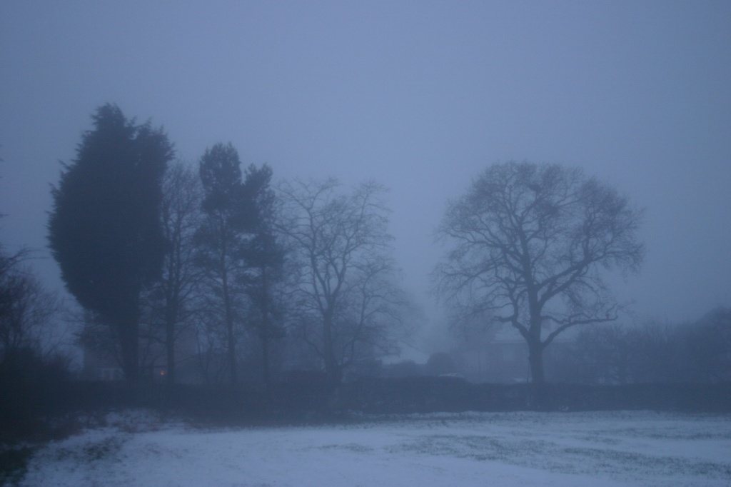 Misty, murky, foggy and freezing by shepherdman