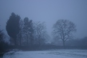 7th Feb 2012 - Misty, murky, foggy and freezing