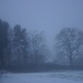Misty, murky, foggy and freezing by shepherdman