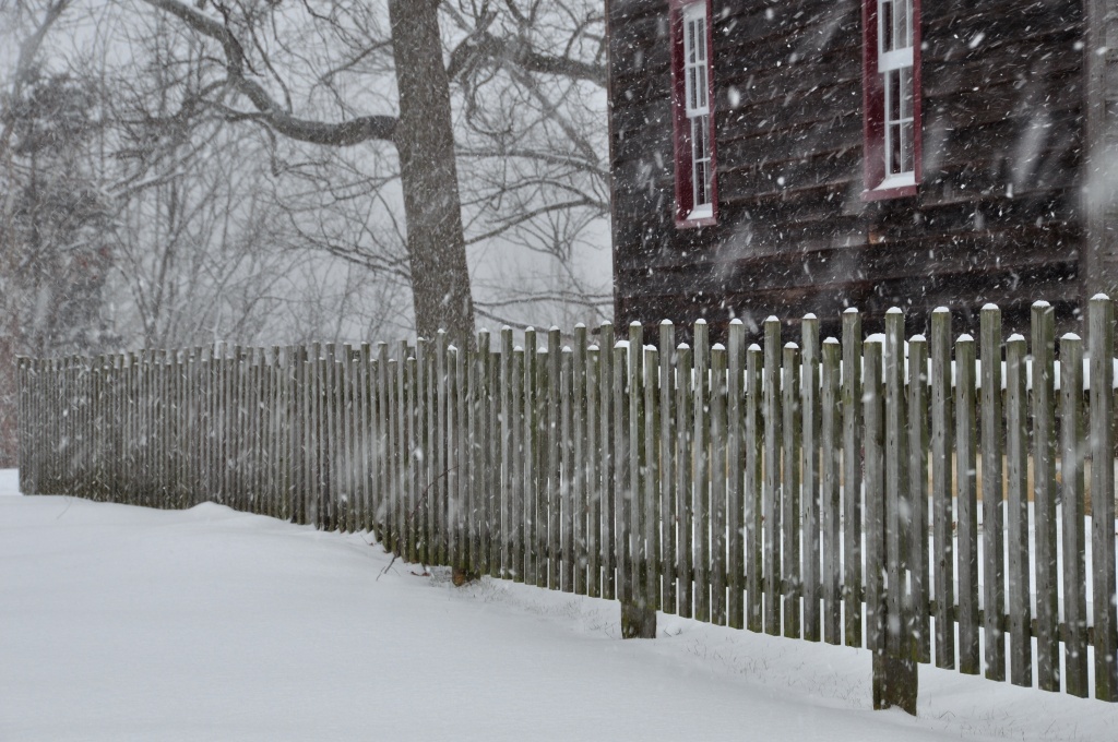 Fence in a Snowstorm by jayberg