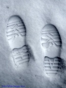 11th Feb 2012 - Optical Illusion -Footprints in the Snow