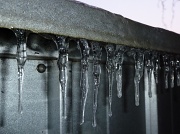 12th Feb 2012 - Icicles