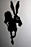 11th Feb 2012 - The inspirational Hare.