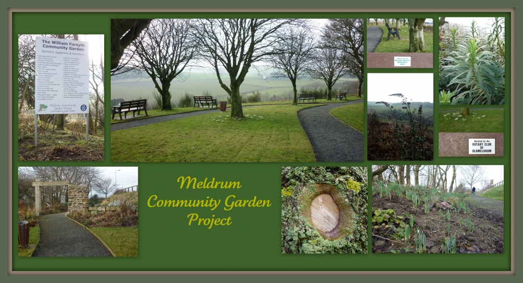 Meldrum Community Garden Project by sarah19