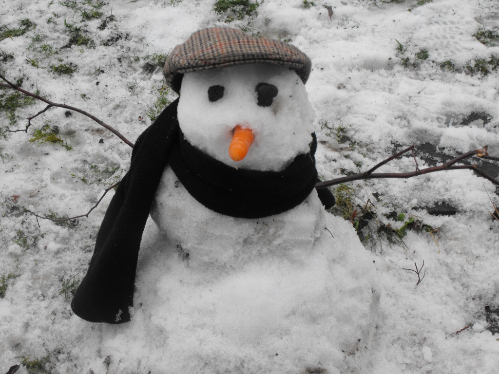 snowman by snowy