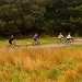 Hampden Skyline Bike Challenge by maggiemae