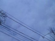 11th Feb 2012 - Cool Grey Sky