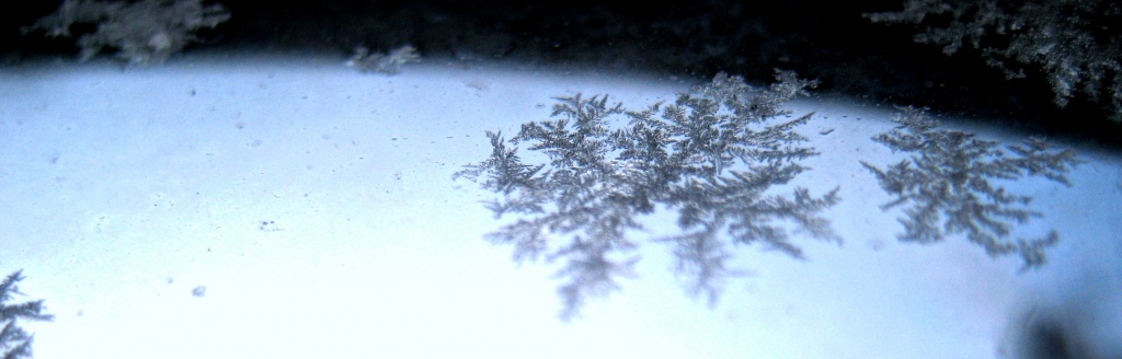 Frost pattern - like a snowflake by filsie65
