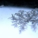 Frost pattern - like a snowflake by filsie65
