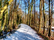 10th Feb 2012 - a winter walk (11/2/12)