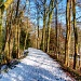 a winter walk (11/2/12) by jantan