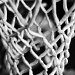 Basketball anyone? by nicolecampbell