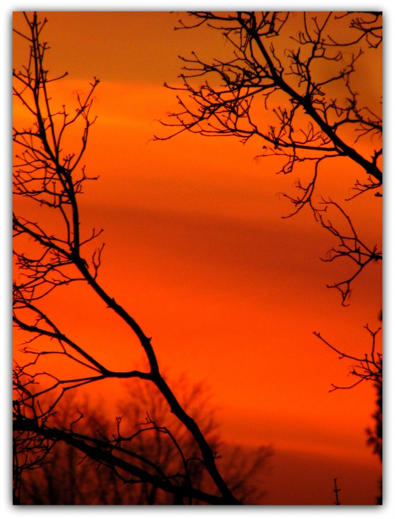 "Red Sky At Night...Sailor's Delight" by glimpses