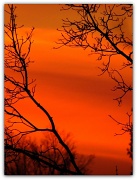 12th Feb 2012 - "Red Sky At Night...Sailor's Delight"