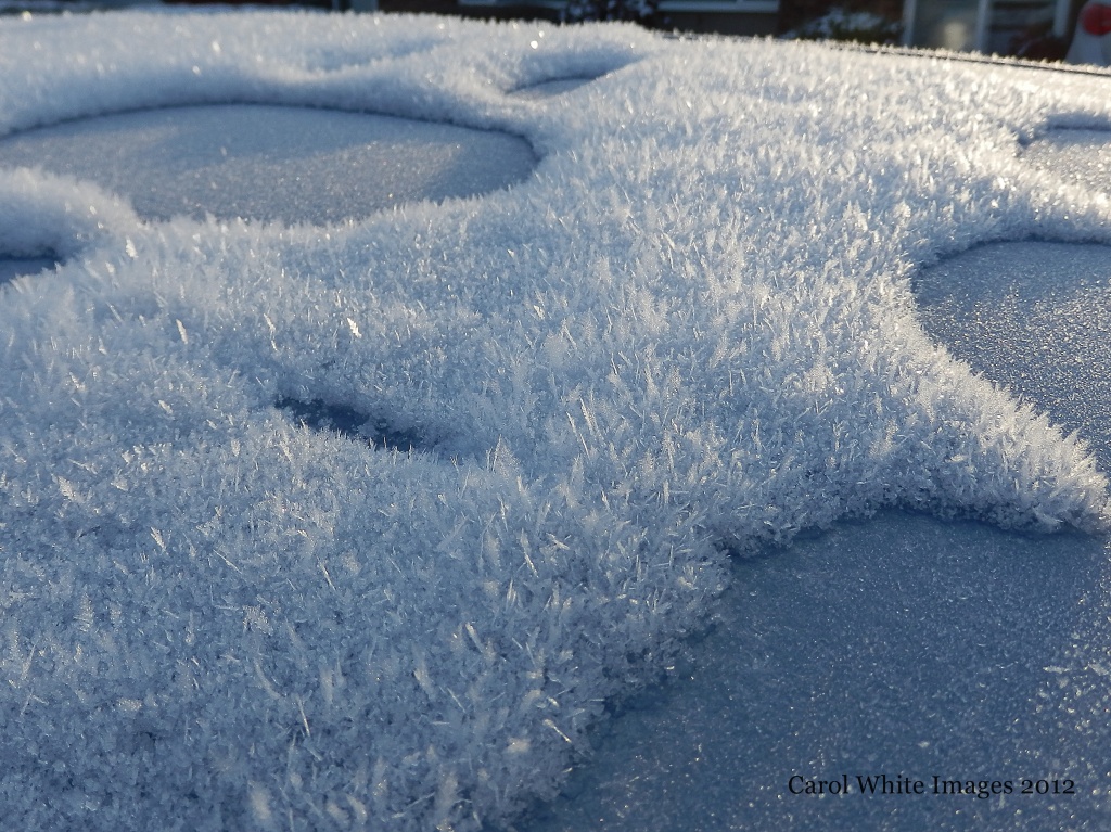 Hoar Frost and Snow by carolmw