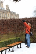 12th Feb 2012 - Adding a little sparkle to a dreary Cambridge!
