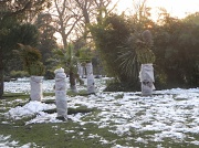 7th Feb 2012 - Sub Tropical Garden, Battersea Park