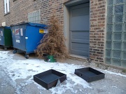 12th Feb 2012 - Throwing Away the Holiday Spirit