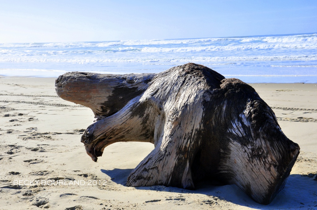 Animal Driftwood by mamabec