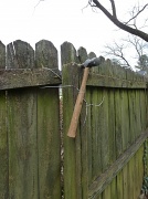 10th Feb 2012 - Redneck Fence Repair