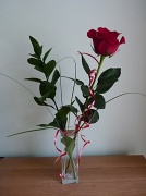 14th Feb 2012 - A red rose for Valentines Day