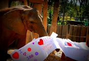 14th Feb 2012 - I Love Zoo 2