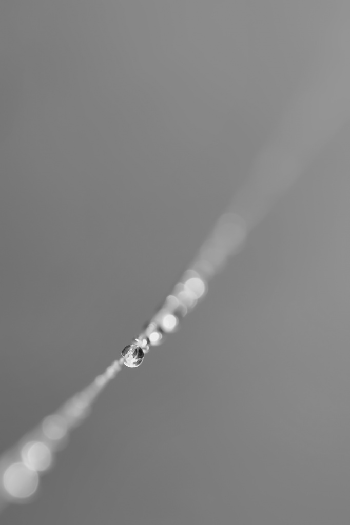 Suspended Waterdrops by lstasel