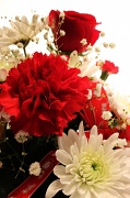 14th Feb 2012 - Happy Valentine's Day
