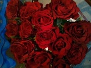 14th Feb 2012 - 12 red roses from my valentine x