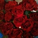 12 red roses from my valentine x by clairecrossley