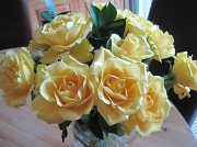 15th Feb 2012 - Roses are yellow..................
