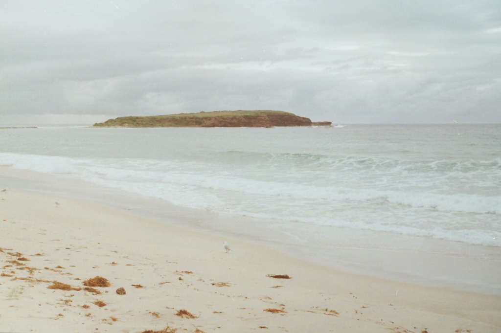 Windang Island by peterdegraaff