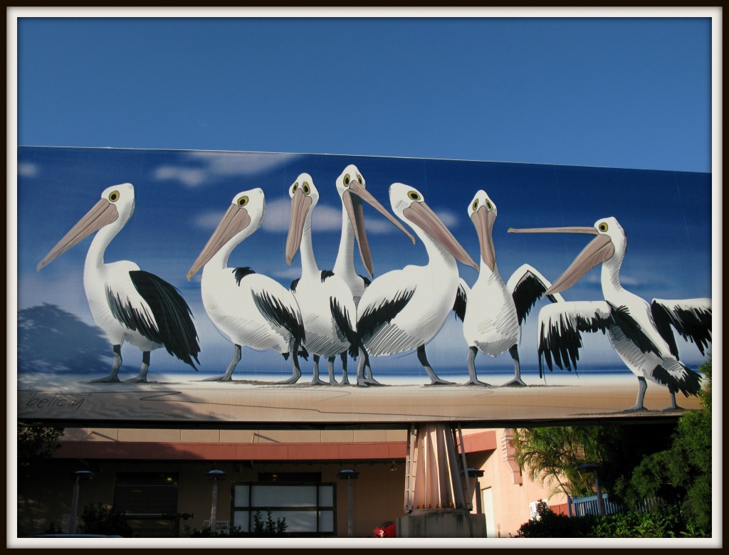 Pelicans Billboard by loey5150