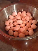 16th Feb 2012 - Magical Eggs