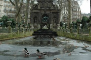 15th Feb 2012 - In the Luxembourg garden