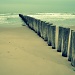 Les Groynes by andycoleborn