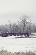 15th Feb 2012 - frosty morning...
