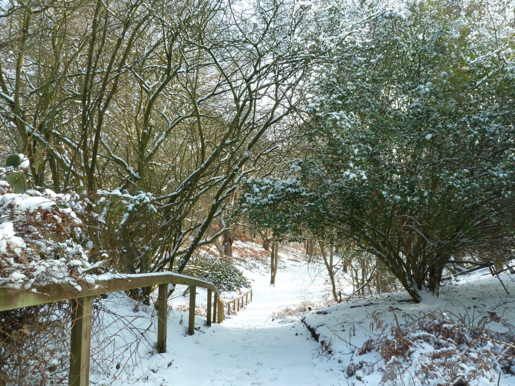 Snowy walk by karendalling